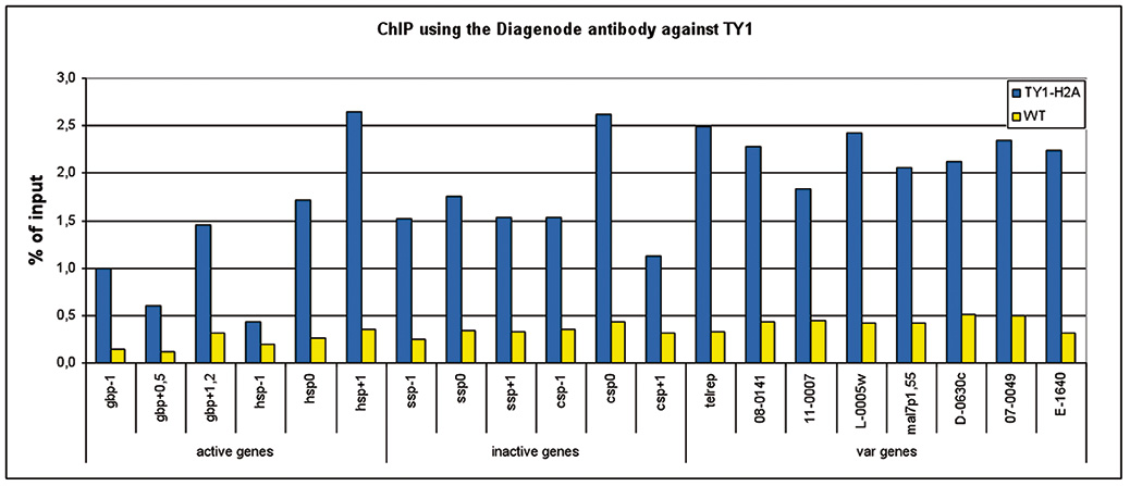 Ty1 Antibody validated in ChIP 