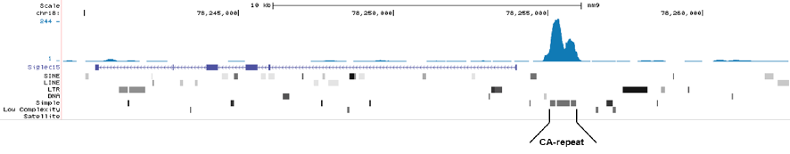 5-mC (5-methylcytosine) Antibody validated in MeDIP-seq