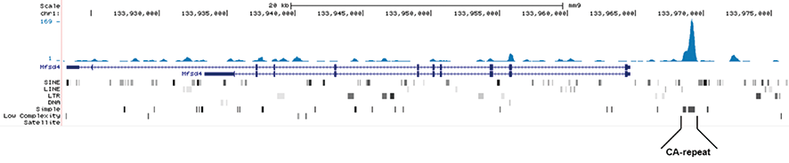 5-mC (5-methylcytosine) Antibody validated in MeDIP-seq