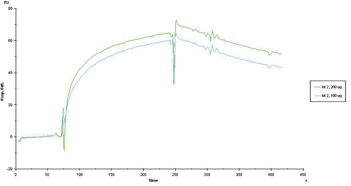 5-methylcytosine (5-mC) Antibody