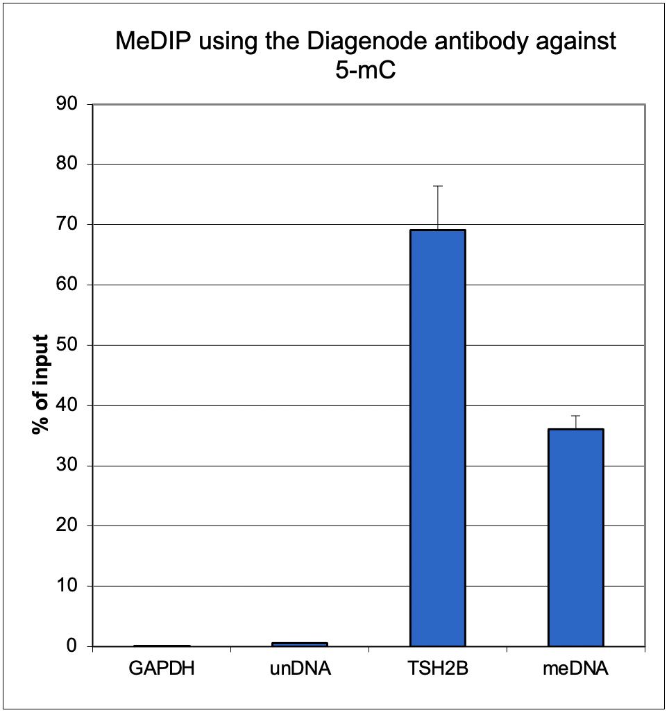 5-mC (5-methylcytosine) Antibody validated in MeDIP