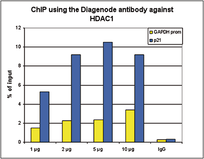 HDAC1 Antibody ChIP Grade