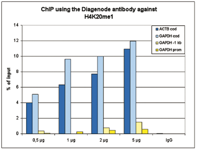 H4K20me1 Antibody ChIP-seq