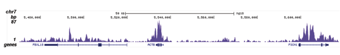 H4K20me1 Antibody for ChIP-seq