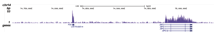 H4K20me1 Antibody for ChIP-seq assay