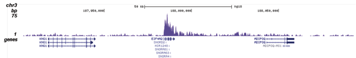 H4K20me1 Antibody validated in ChIP-seq