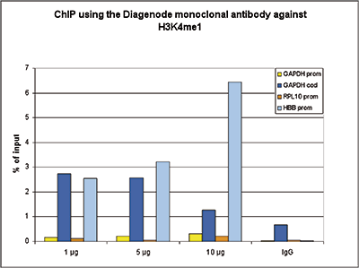 H3K4me1 Antibody ChIP Grade