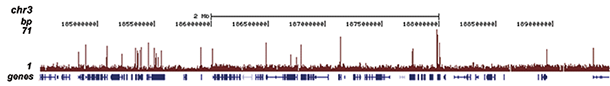 H3K4me3 Antibody ChIP-seq Grade