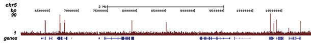 H3K4me3 Antibody for ChIP-seq