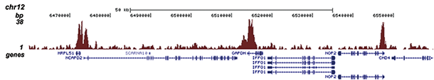 H3K4me3 Antibody for ChIP-seq assay