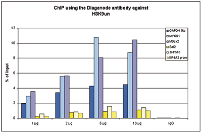 H3K9un Antibody ChIP Grade