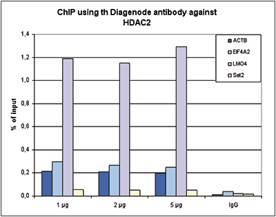 HDAC2 Antibody ChIP Grade