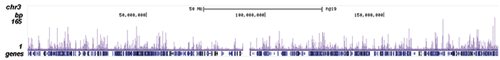 HDAC2 Antibody ChIP-seq Grade