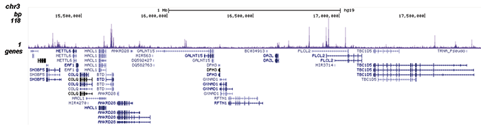 HDAC2 Antibody for ChIP-seq
