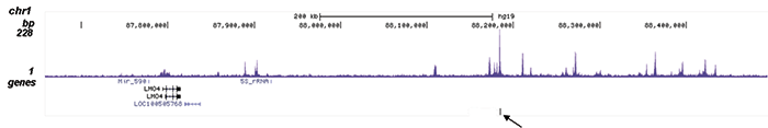 HDAC2 Antibody for ChIP-seq assay