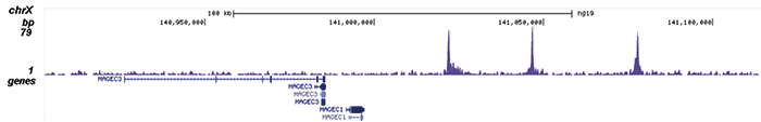 HDAC2 Antibody validated in ChIP-seq