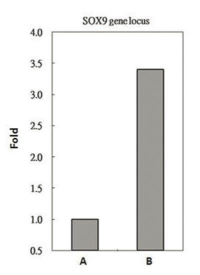 RbAp48 Antibody ChIP Grade