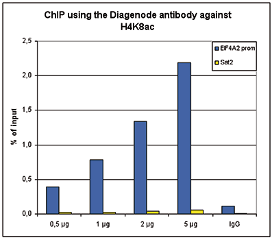 H4K8ac Antibody ChIP Grade