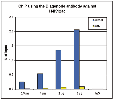 H4K12ac Antibody ChIP Grade