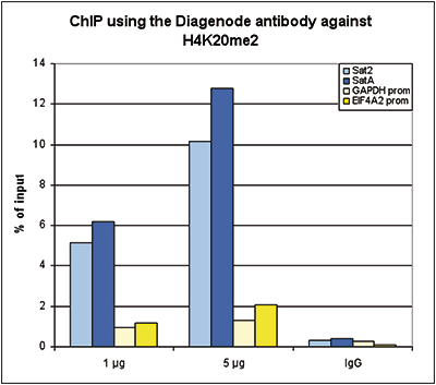 H4K20me2 Antibody ChIP Grade