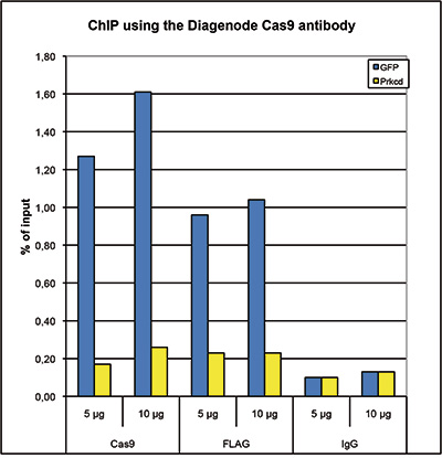 CRISPR/Cas9 Antibody for ChIP