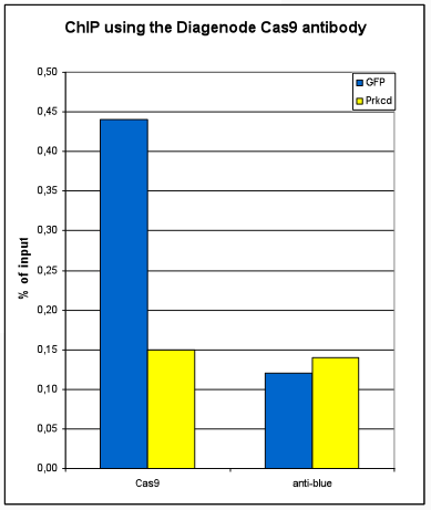 CRISPR/Cas9 C-terminal Antibody ChIP Grade