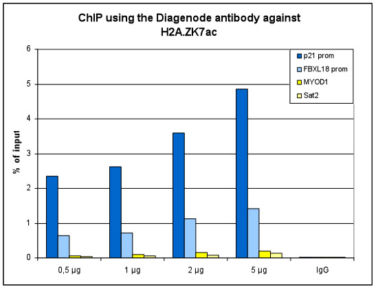 H2A.ZK7ac Antibody ChIP Grade