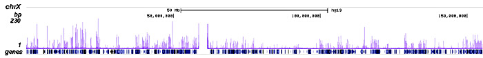 H2A.ZK7ac Antibody ChIP-seq Grade