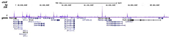 H2A.ZK7ac Antibody for ChIP-seq