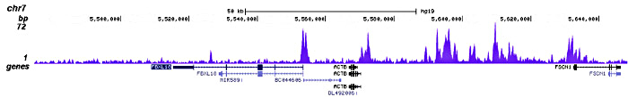 H2A.ZK7ac Antibody validated in ChIP-seq
