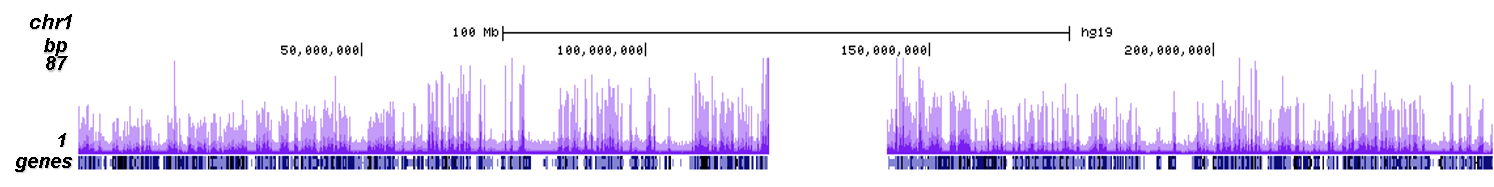 H3K36me3 Antibody ChIP-seq Grade