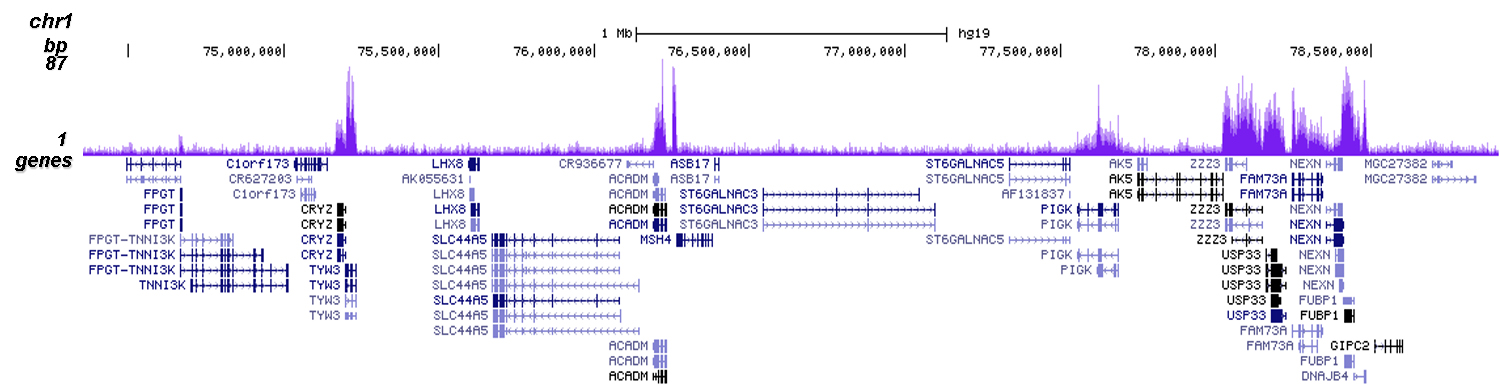H3K36me3 Antibody for ChIP-seq
