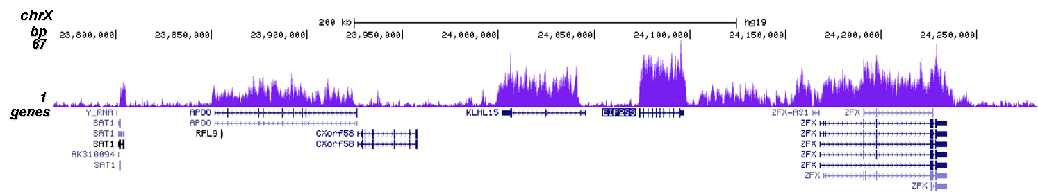 H3K36me3 Antibody for ChIP-seq assay