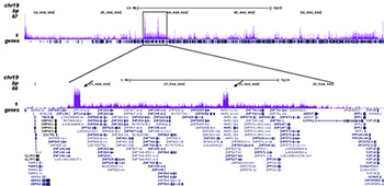 H3K9me3 Antibody ChIP-seq Grade