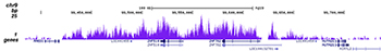 H3K9me3 Antibody for ChIP-seq