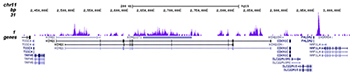 H3K9me3 Antibody for ChIP-seq assay