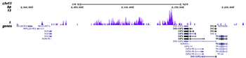 H3K9me3 Antibody validated in ChIP-seq