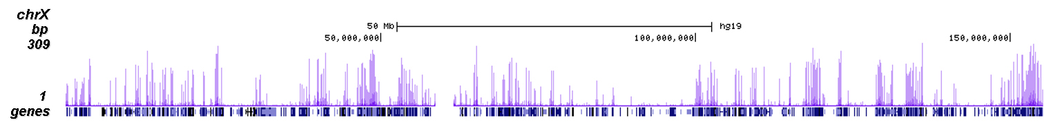 H3K9ac Antibody ChIP-seq Grade