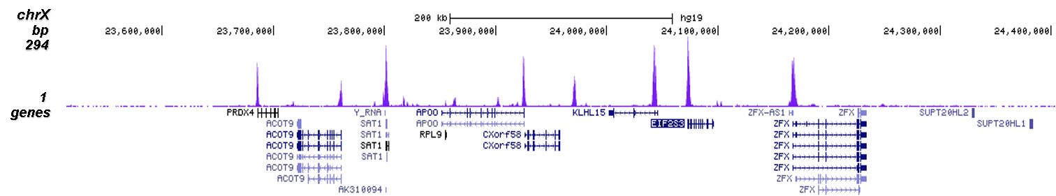 H3K9ac Antibody for ChIP-seq