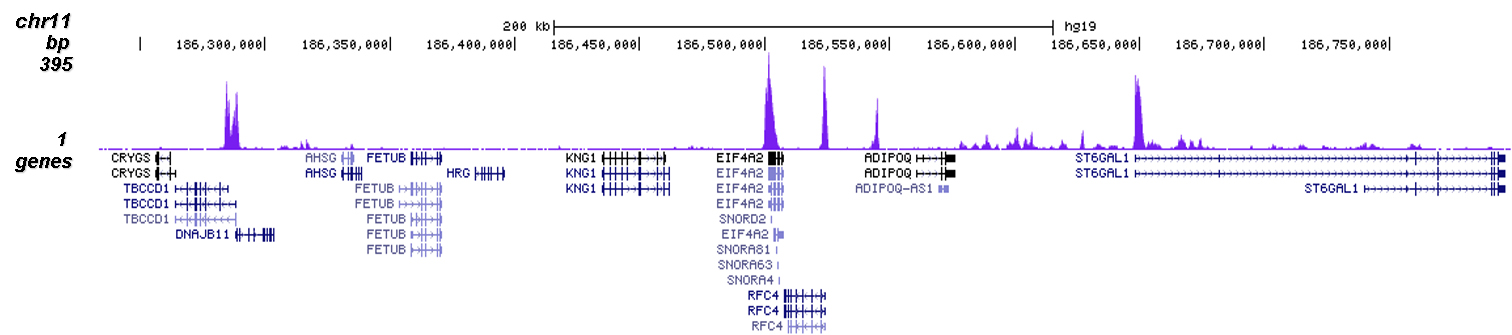 H3K9ac Antibody validated in ChIP-seq