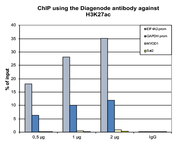 H3K27ac Antibody ChIP Grade