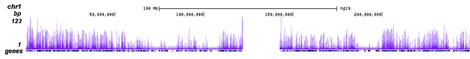 H3K27me3 Antibody ChIP-seq Grade