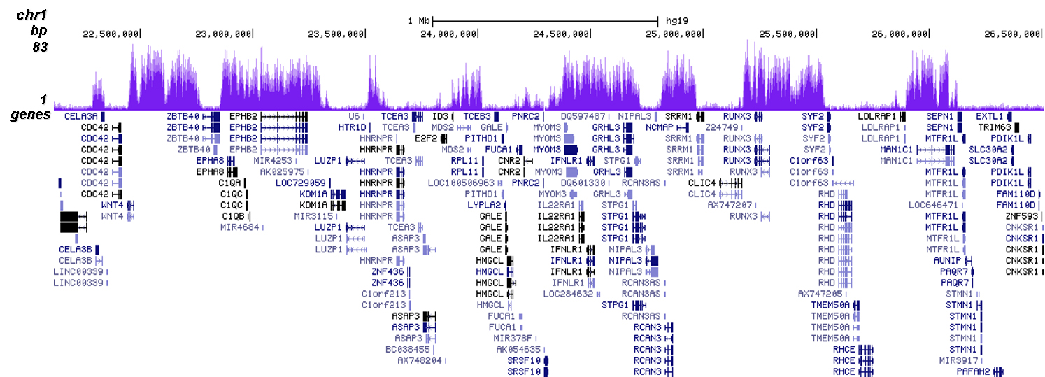 H3K27me3 Antibody for ChIP-seq