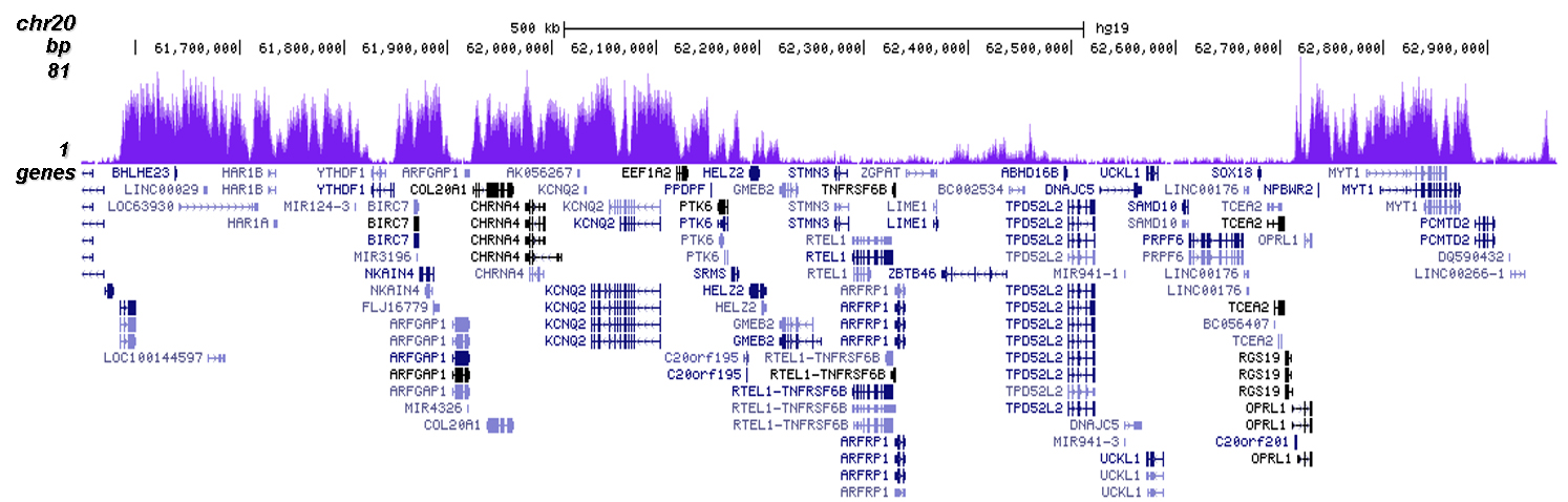 H3K27me3 Antibody for ChIP-seq assay