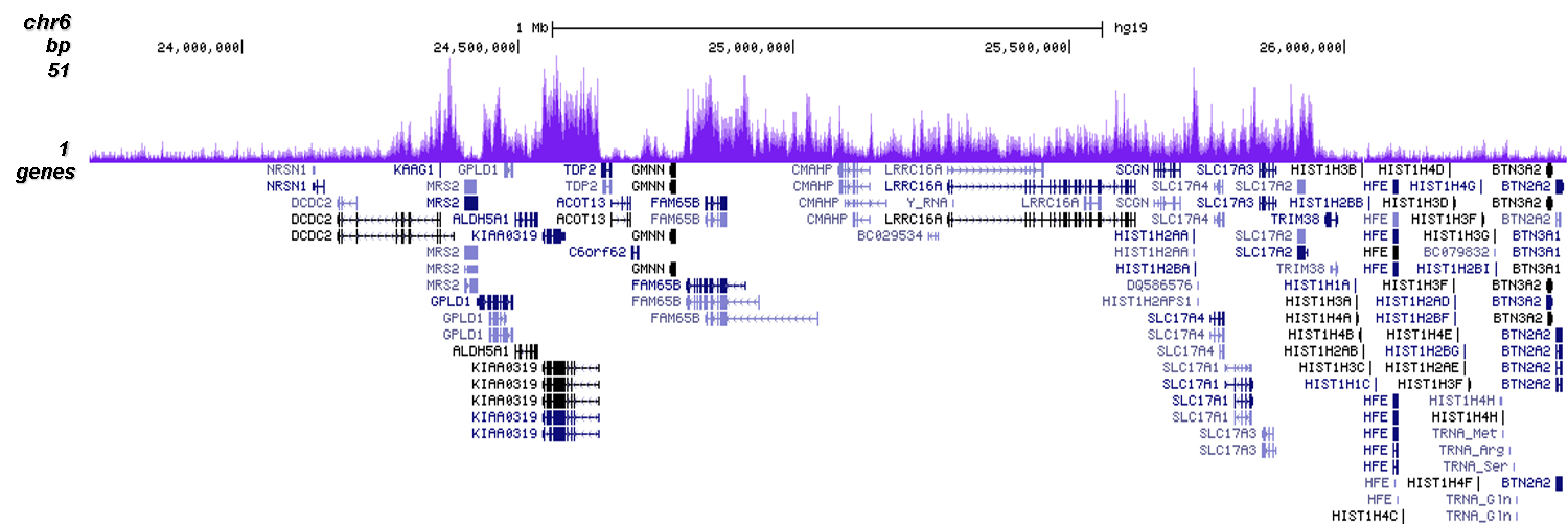 H3K27me3 Antibody validated in ChIP-seq