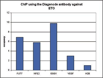 ETO Antibody ChIP Grade