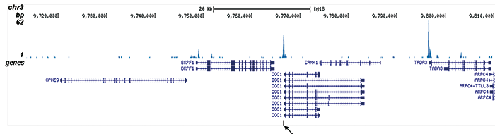 ETO Antibody for ChIP-seq