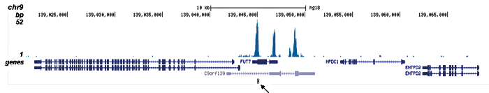 ETO Antibody for ChIP-seq assay