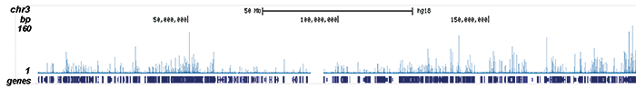 CBFb Antibody ChIP-seq Grade