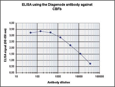 CBFb Antibody ELISA Validation 